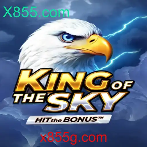 Explorando KingOfTheSky: Um Fenômeno de Entretenimento Virtual