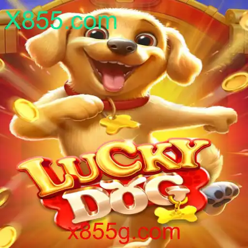 Descobrindo o Mundo de LuckyDog e a Plataforma X855.com
