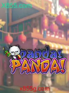 PandaPanda: O Fascinante Mundo de X855.com e Suas Regras Exclusivas
