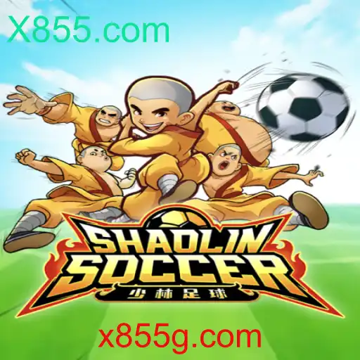 Descrição, Introdução e Regras do Jogo ShaolinSoccer: Uma Experiência Única no Mundo dos Games