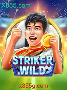 StrikerWILD: Um Mergulho no Mundo de Aventura com X855.com